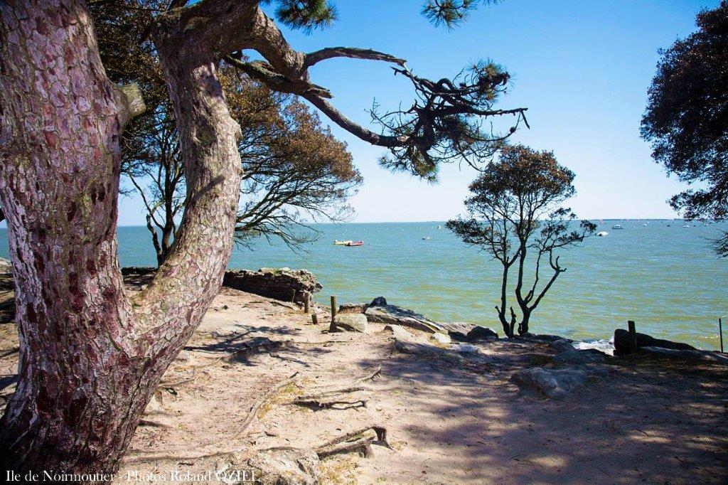 plage Noirmoutier vacances en Vendée