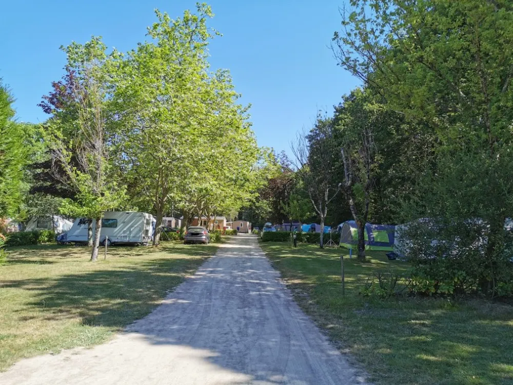 Allée du camping la forêt à Aizenay